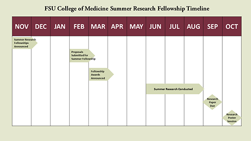 FSU CoM Summer Research Fellowship Timeline